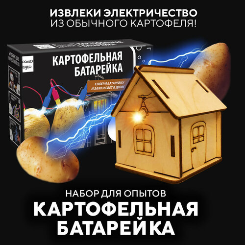 Набор для опытов для детей Картофельная батарейка Простая наука/ Опыты для детей от 5 лет/ Подарок для девочки и мальчика