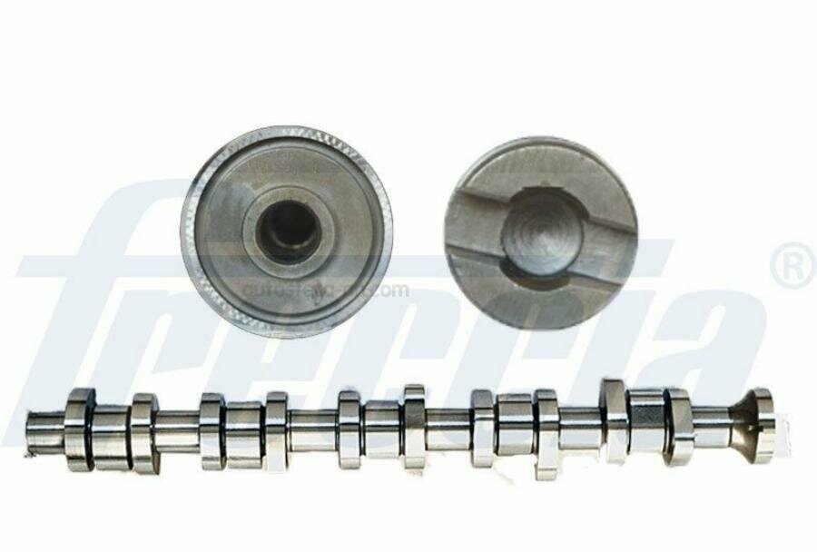 FRECCIA CM052161 Распредвал VAG 070109101q