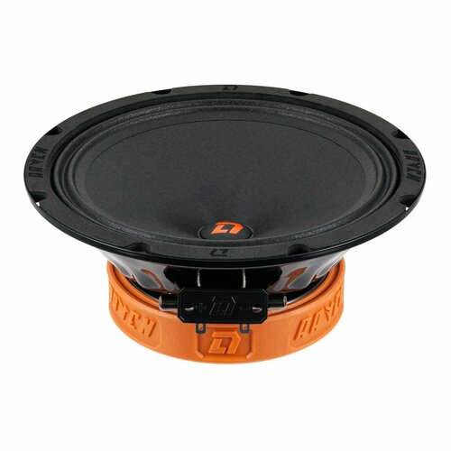 Эстрадная акустика DL Audio Raven 200 V2 599000₽