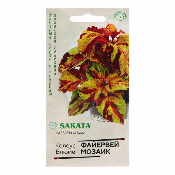 фото Семена Колеус "Файервей Мозаик", 4 шт.