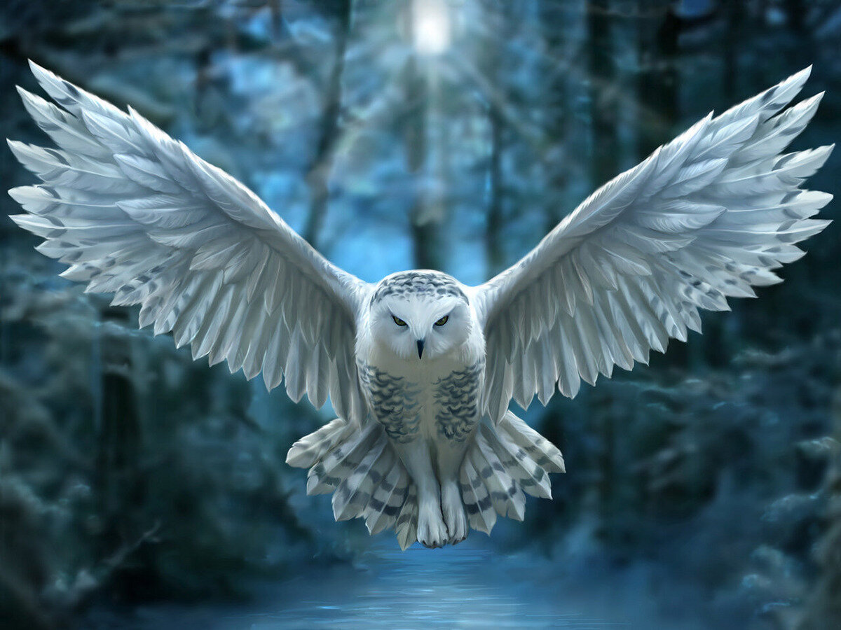 Стерео-пазл Prime 3D "Ночной страж" ("Snowy Owl" ) 6+, 500 деталей, с эффектом объемного изображения, 61х46 см