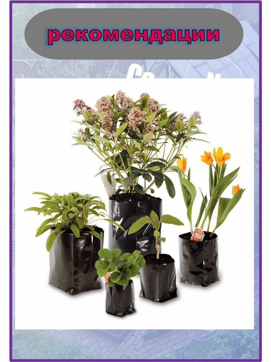 Пакеты для рассады — фото 1