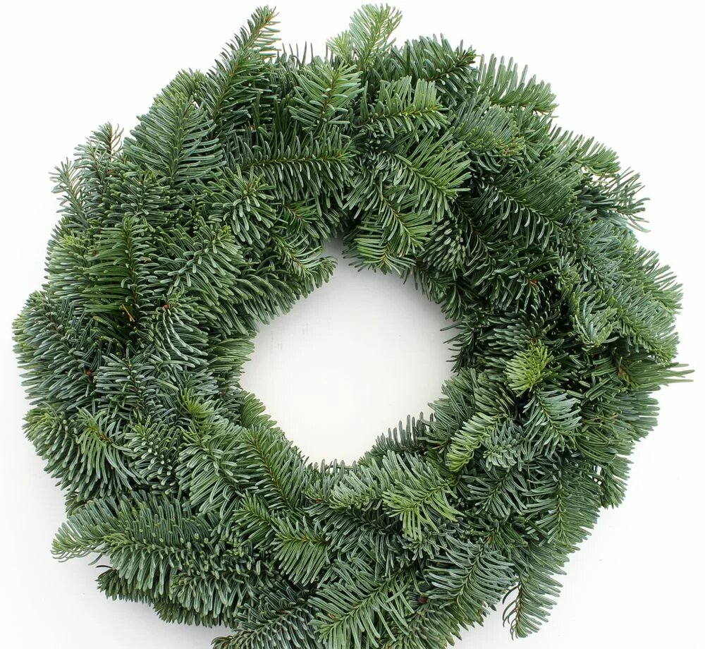 Венок новогодний Мегацвет24 без декора зеленый диаметр 20см