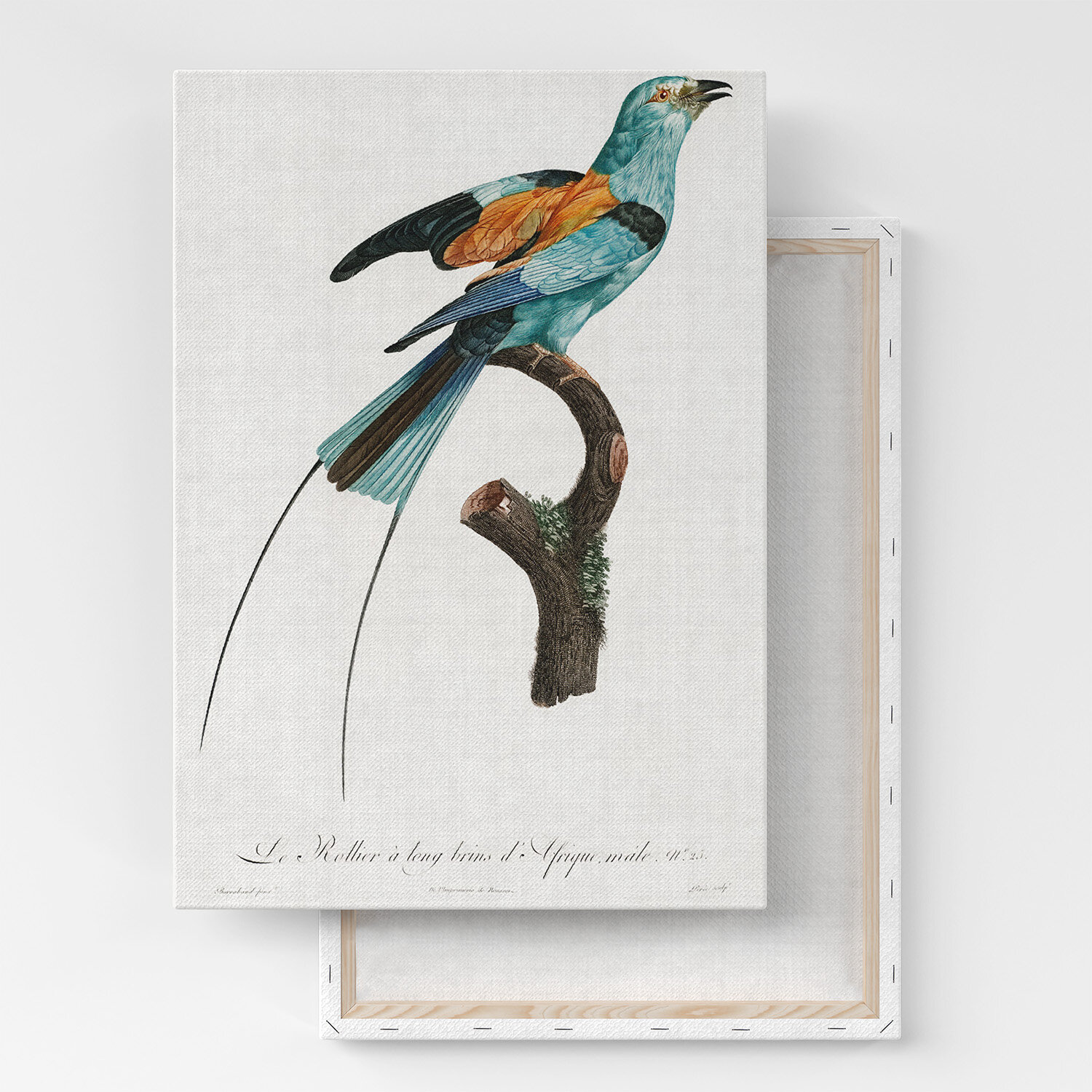 Картина на холсте, репродукция / Des Oiseaux de Paradis / Размер 60 x 80 см