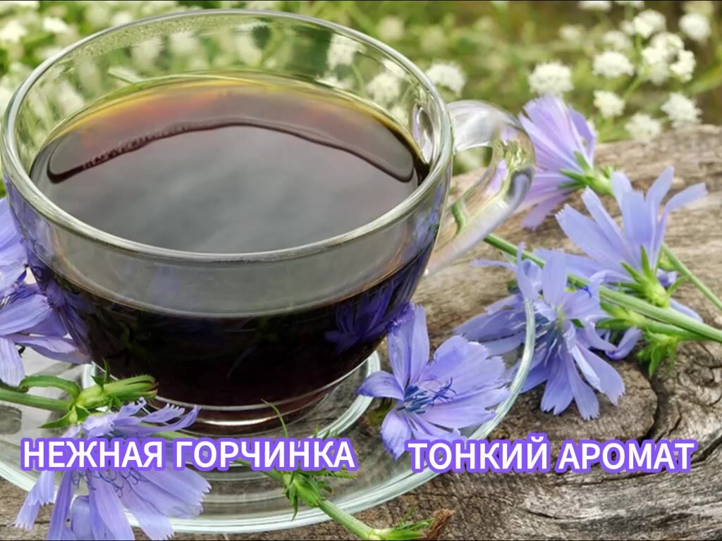 Напиток Цикорий натуральный растворимый порошок, 180 г. Инулин >30%. БИО. Органик. Без кофеина, глютена, сахара, лактозы. Веган — фото 1