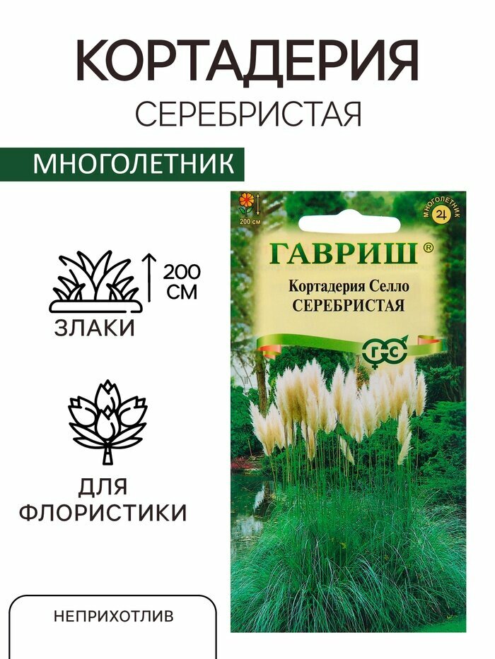 Семена Кортадерия Серебристая 