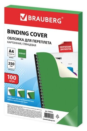 BRAUBERG двухсторонняя для переплета A4 250 г/м² картон глянец