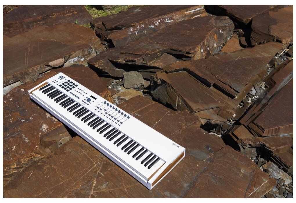 MIDI-клавиатура Arturia KeyLab 88 MkII - фото №9