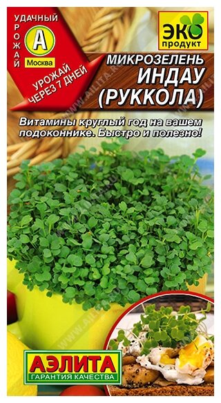 Семена Агрофирма АЭЛИТА Микрозелень Руккола 5 г