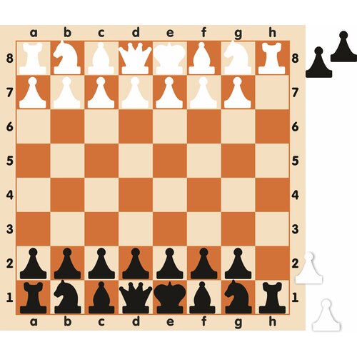 Демонстрационные магнитные настенные шахматы 60х60см с клеткой 6,5х6,5см с комплектом шахматных фигур
