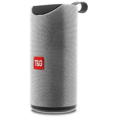 Портативная акустика T G TG113 10 Вт серый 64900₽
