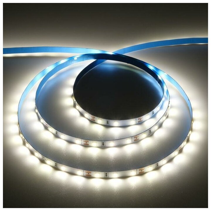 Светодиодная лента Ecola PRO 5 м, IP20, SMD5060, 60 LED/м, 11 Вт/м, 12 В, 4200К