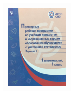 Примерные рабочие программы обучающихся с умственной отсталостью. Вариант 1. 1 дополнител., 1 классы - фото №1