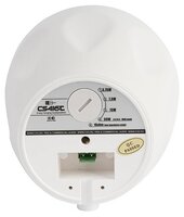 Акустическая система CVGaudio CS416T white