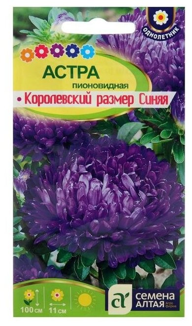 Семена цветов Астра "Королевский размер", синяя, Сем. Алт, ц/п, 0,2 г