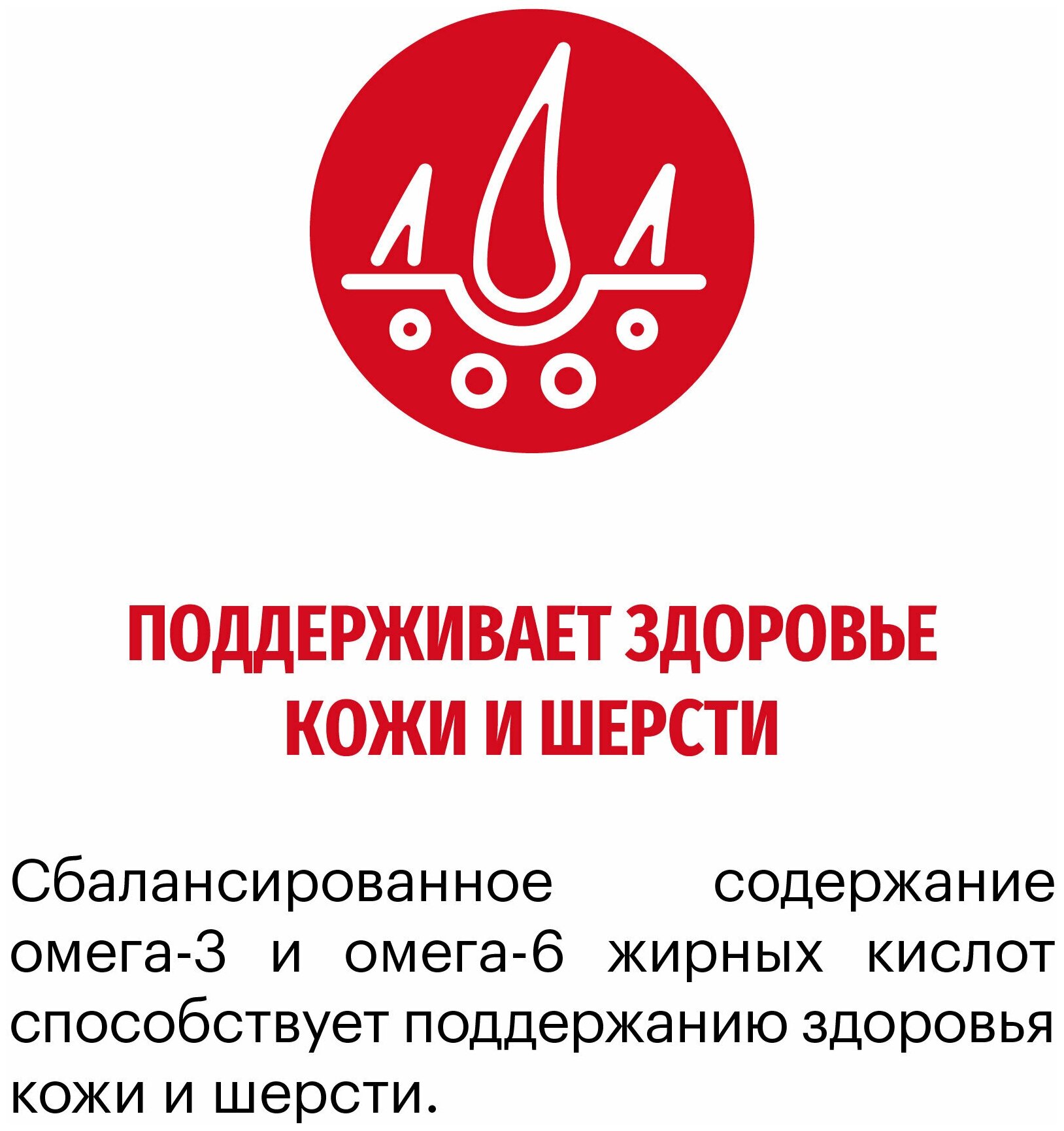 Корм для собак сухой KARMY Medium Junior с Индейкой 2 кг. для щенков средних пород — фото 1