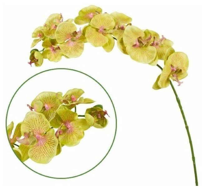 Искусственные цветы орхидея фаленопсис "Максима" зеленая 95 см для декора