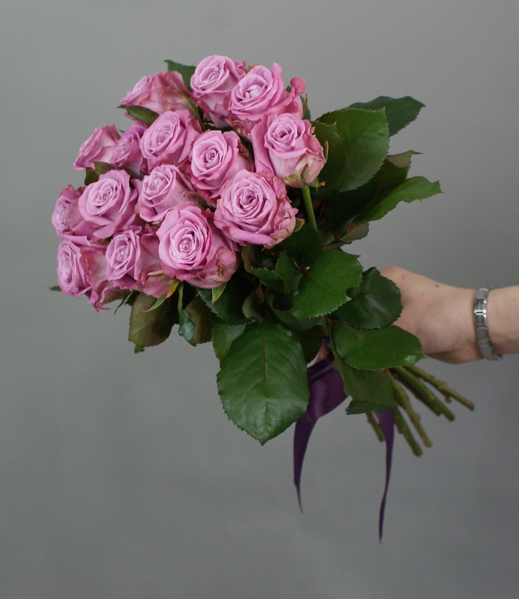 Розы фиолетовые 27 штук "Меритим" 45 см Россия(большой бутон)