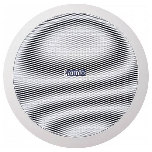 Proaudio CS-20 Потолочный трансляционный громкоговоритель 367500₽