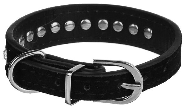фото Для ежедневного использования ошейник Пижон Бархат и стразы