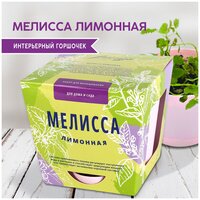 Набор для выращивания растений Мелисса лимонная Тысяча листьев