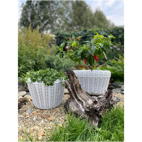 Кашпо из ротанга