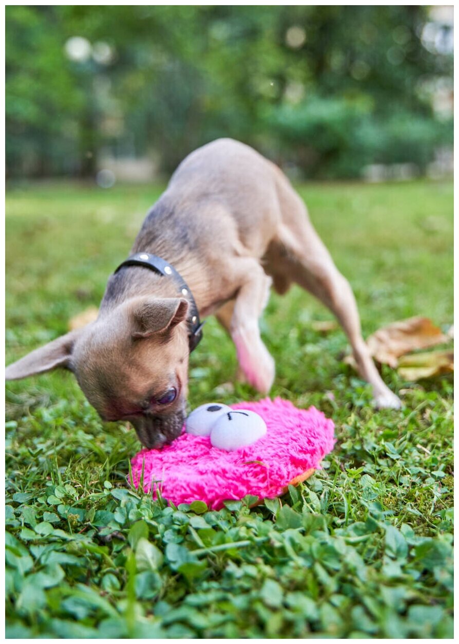 Игрушка для собак Japan Premium Pet Фрисби пушистый, розовый. - фотография № 3