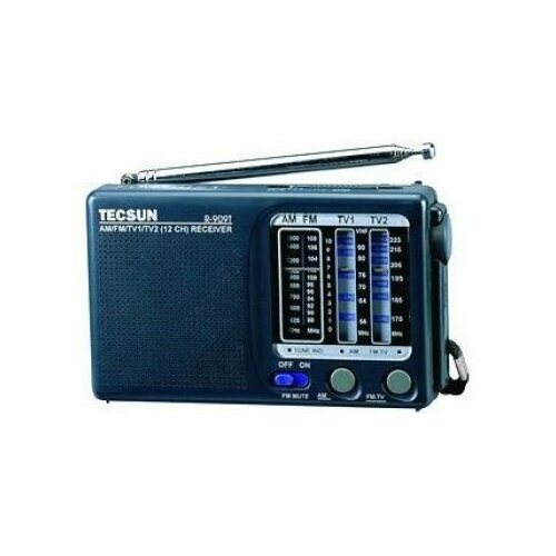 Tecsun R-909T 200000₽