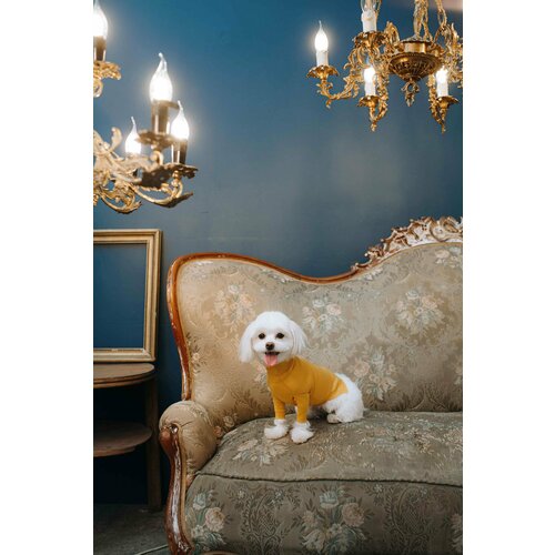 Водолазка, горчичная - M