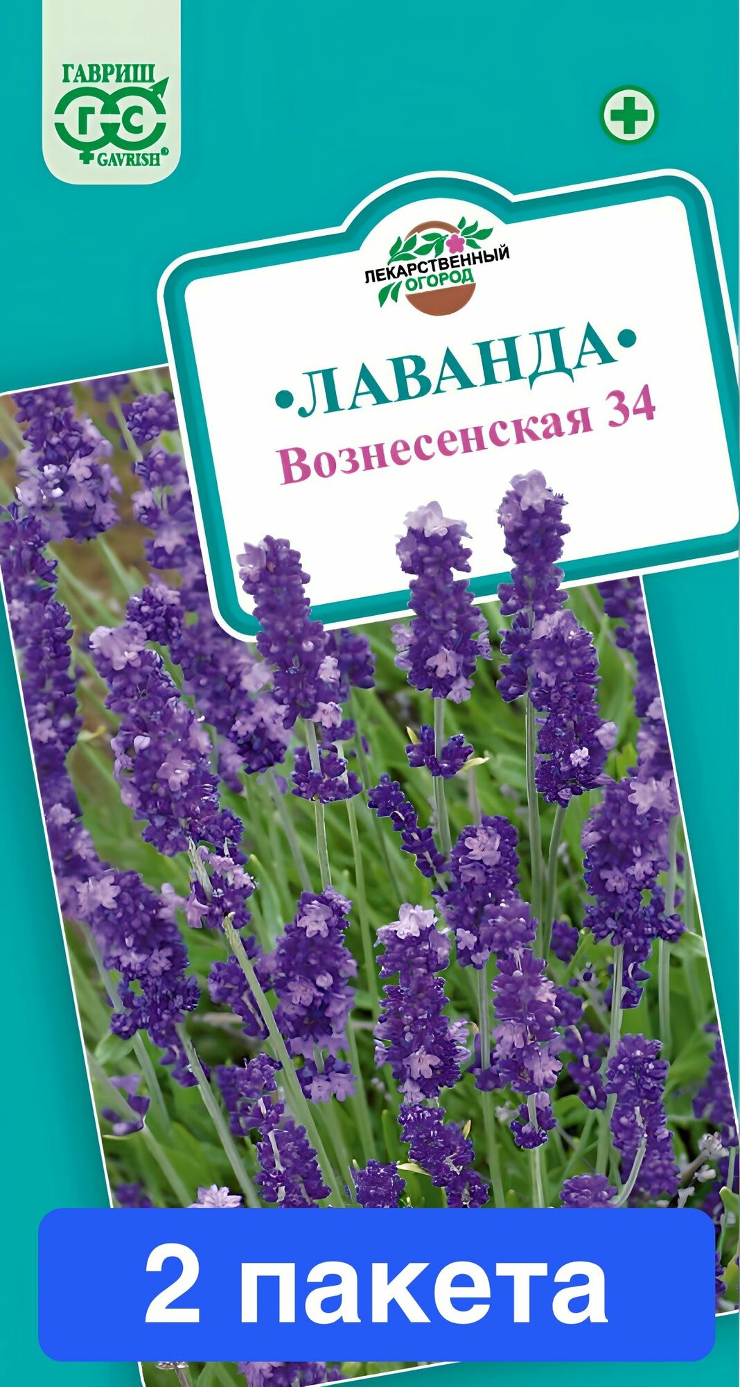 Цветы Лаванда узколистная Вознесенская 34, 2 пакета