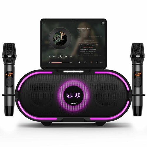 RHM RM-K666 Plus: Портативная колонка с караоке, LED и двумя микрофонами 60 Вт мощи