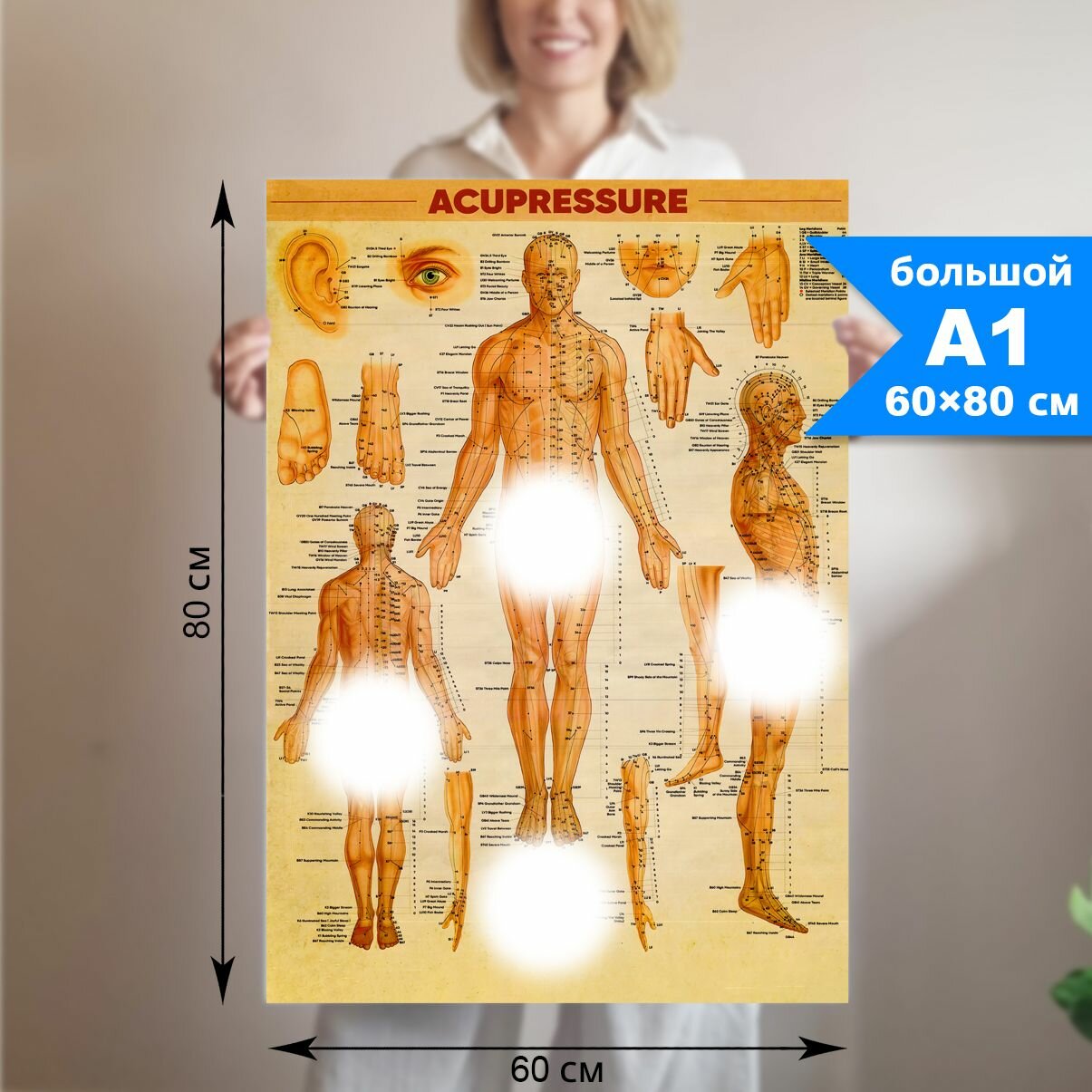Постер акупрессура и энергетические точки на теле человека (формат А1, 60/80 см)