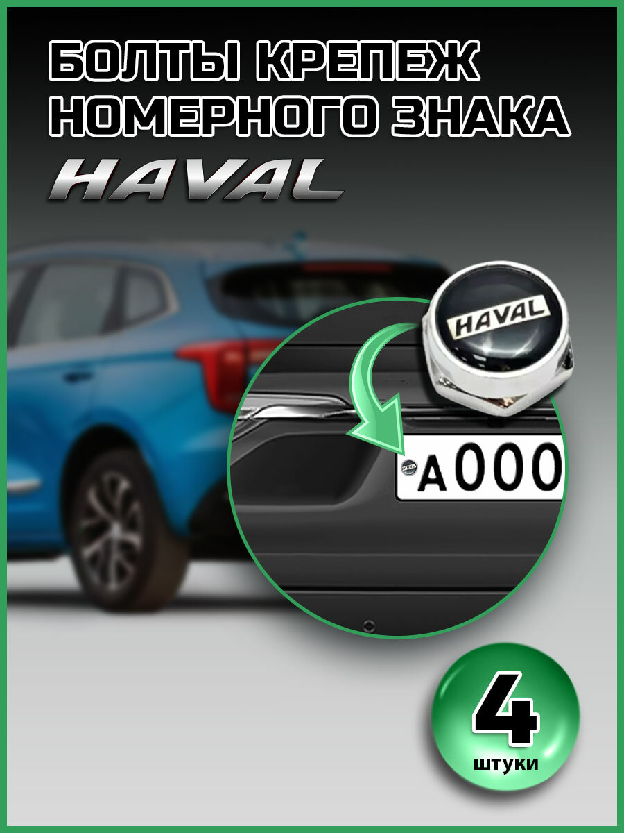 Болты крепеж номерного знака с логотипом HAVAL компл. 4 шт черный