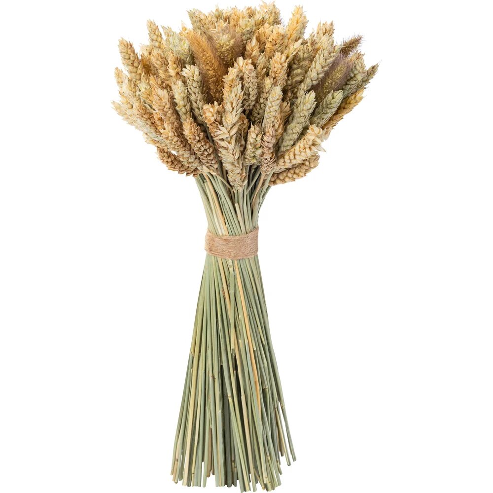 Стильный Дом Коробка 6 букетов из сухих колос. культур (пшеница чумиза) h 48 см 40873