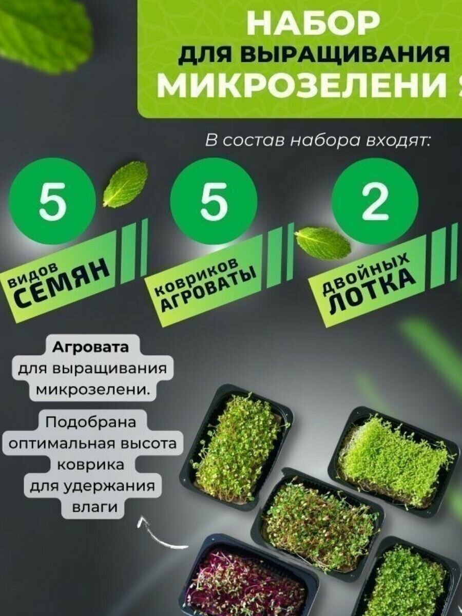 Набор для выращивания микрозелени (S) - фотография № 2