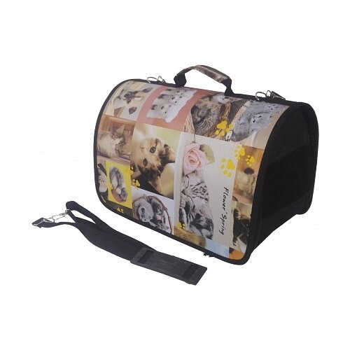 фото Переноска-сумка для кошек и собак LOORI Z8791 31х20х22 см с принтом