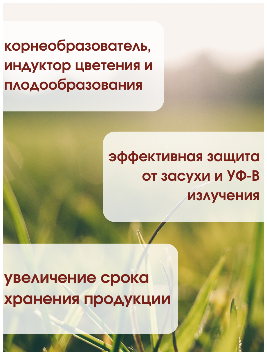 Агрохимикат природный регулятор роста растений Циркон 1 мл, 10 шт - фотография № 3