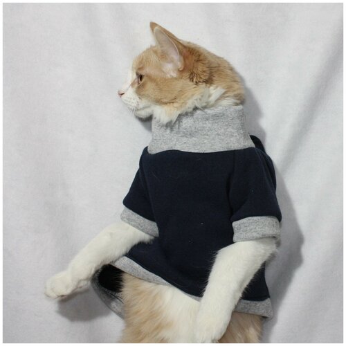 Толстовка для кошек и собак мелких пород 430₽