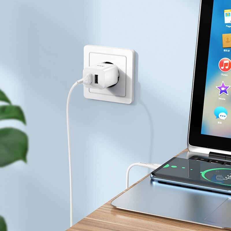 Адаптер/Блок питания/Быстрая зарядка для телефона 2 USB-A 2.1А /Hoco N25 Dual Port Safe Charger white (EU)