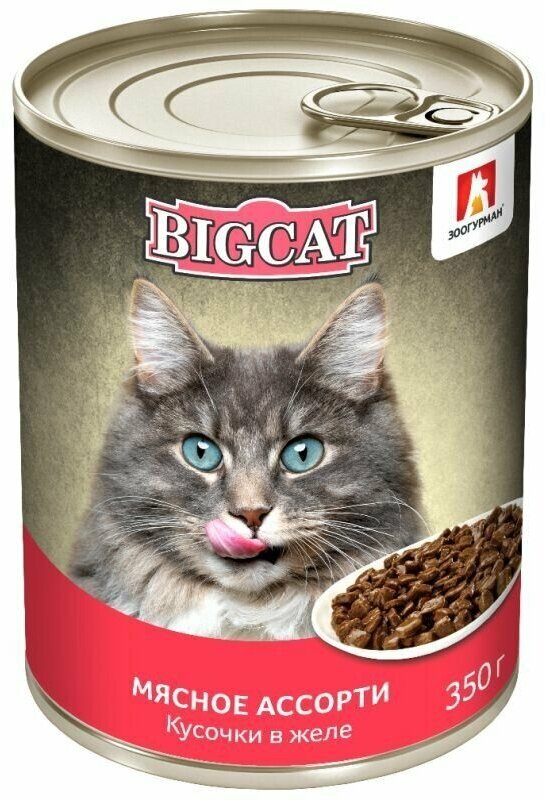 Влажный корм для кошек зоогурман Big Cat 350 г, (1 шт) Мясное ассорти