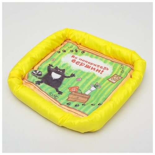Лежанка с бортом Я покоритель вершин 42 х 42 х 5 см 759₽