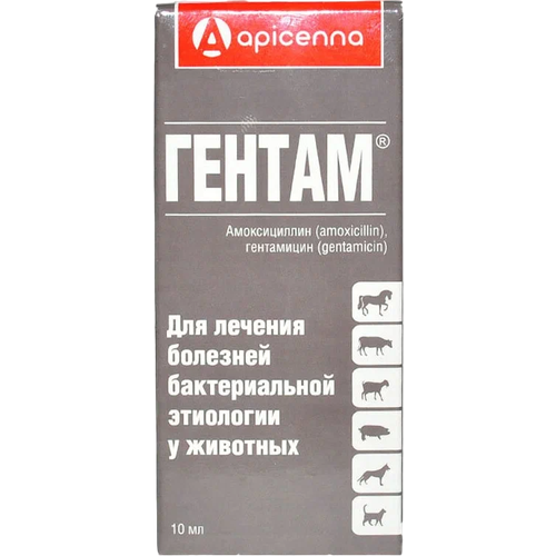 гентам антибактериальный препарат 10 мл Раствор Apicenna Гентам, 10 мл, 1уп.