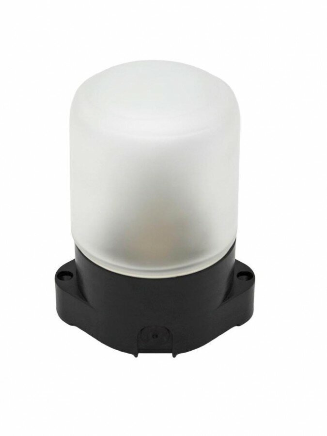 Банник НПБ400 светильник влагозащ 60W Е27 прямой, термопласт, черн, стекло 125°С НББ 01-60-001 IP65 ИУ (РБ) (арт. 688630)