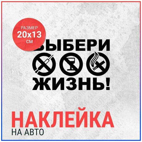 Наклейка на авто 20х13 Выбери жизнь