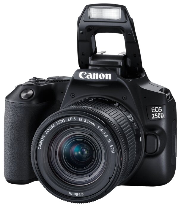 Фотоаппарат Canon EOS 250D Kit черный EF-S 18-55mm f/4-5.6 IS STM фото 6