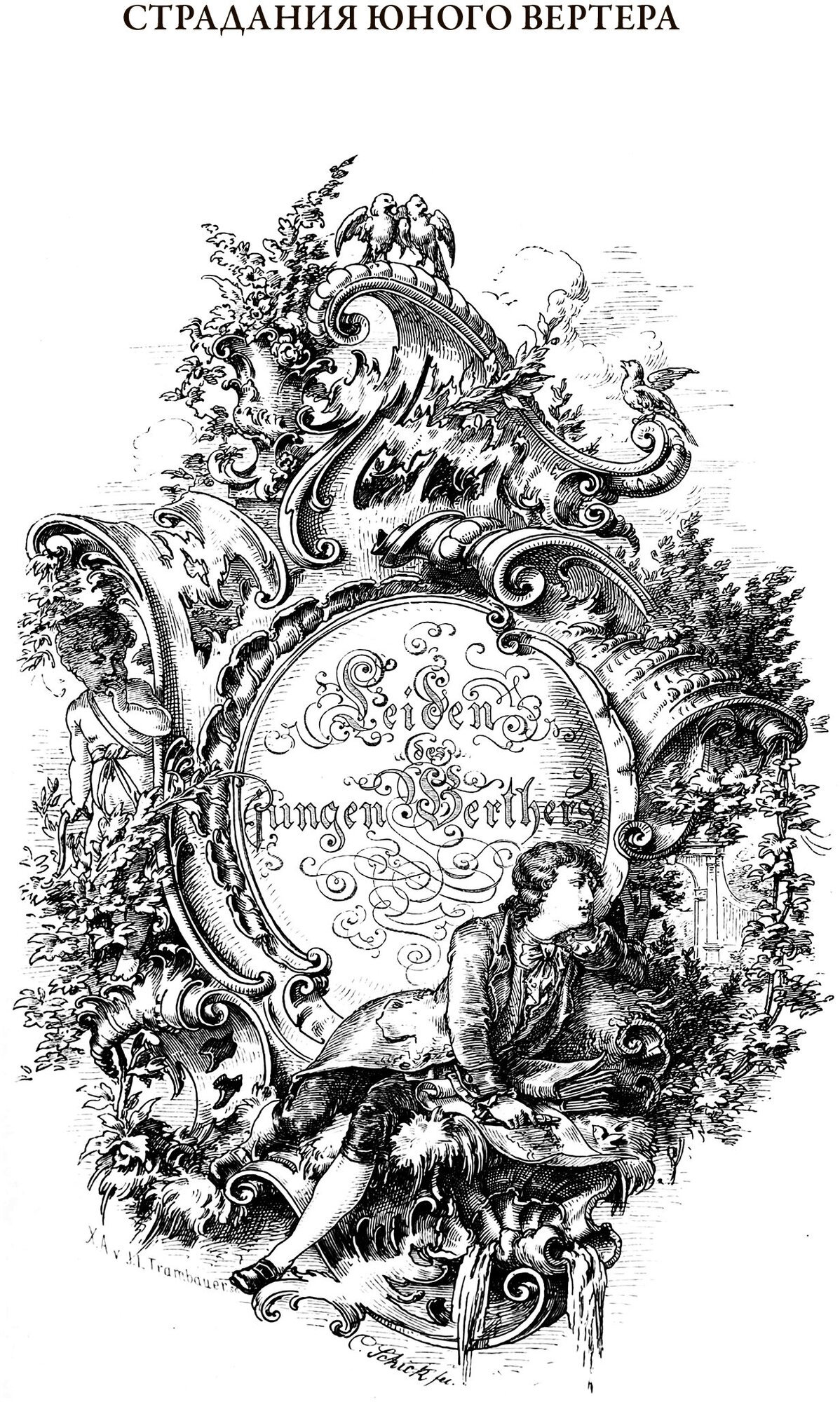 Книга Страдания юного Вертера. Пятнадцатилетний Гете - фото №5