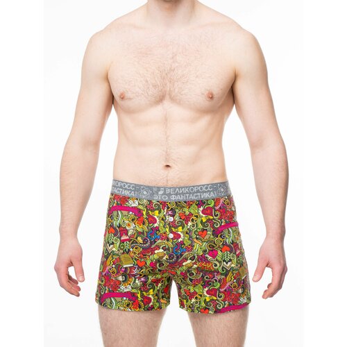 фото Трусы великоросс, размер 54, мультиколор