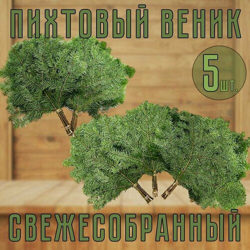 Веник Пихтовый свежесобранный для бани 5шт.