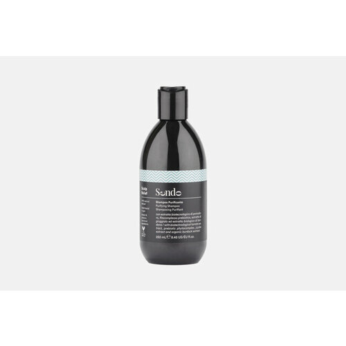 Глубоко очищающий шампунь для волос Purifying Shampoo 250 мл