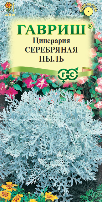 Семена Цинерария Серебряная пыль приморская 005г Одн 15см (Гавриш)